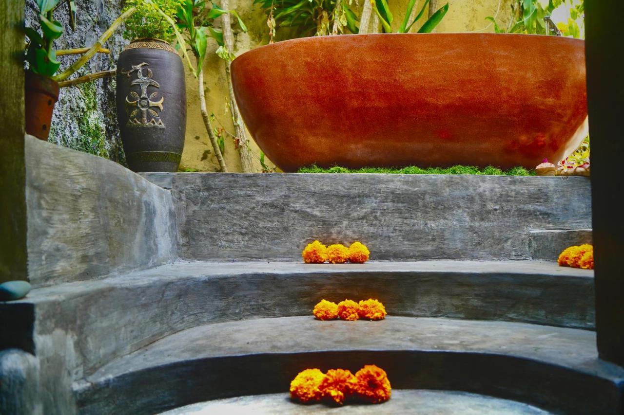 Jungle Lotus Mini-hôtel