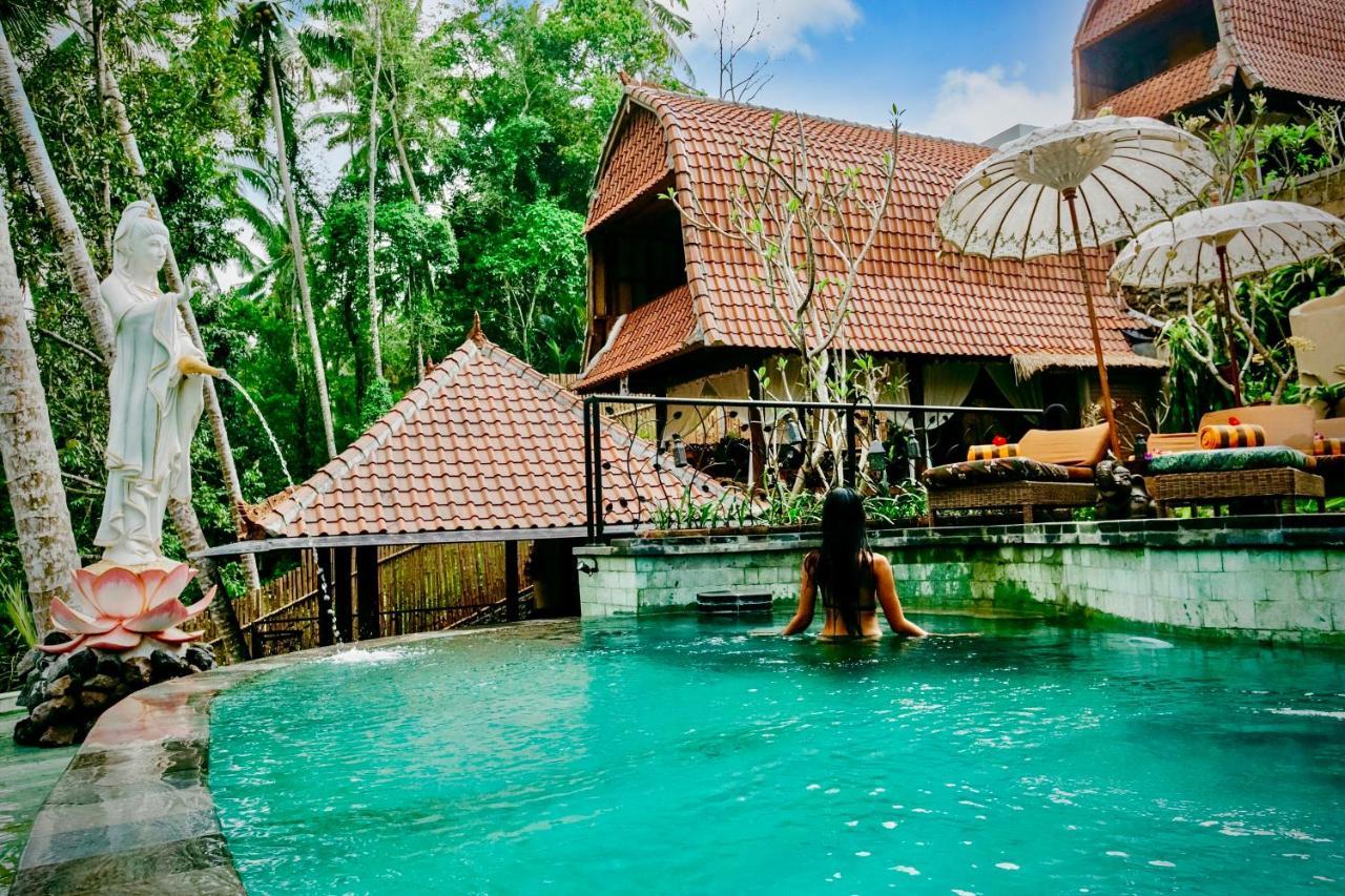Jungle Lotus Mini-hôtel