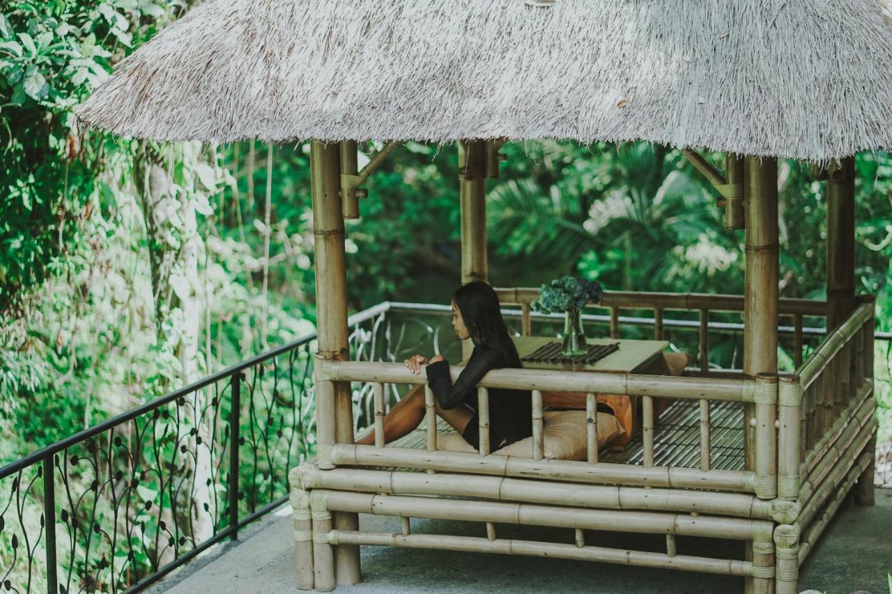 Mini-hôtel Jungle Lotus