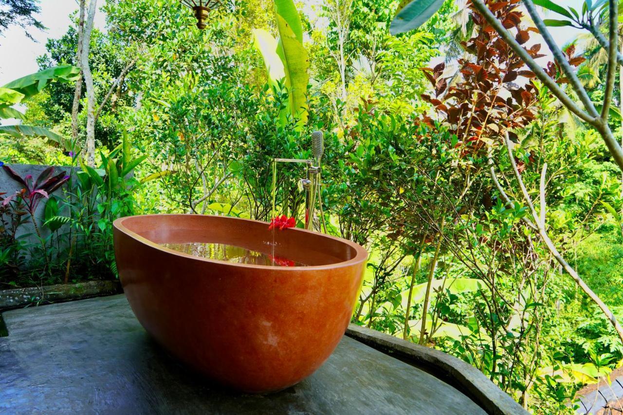 Pensão Jungle Lotus 3*