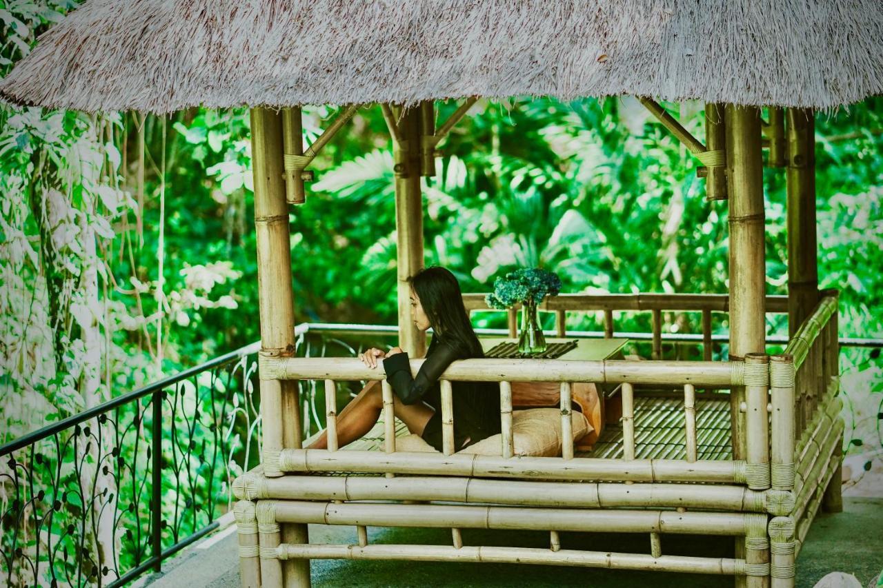 Pensão Jungle Lotus