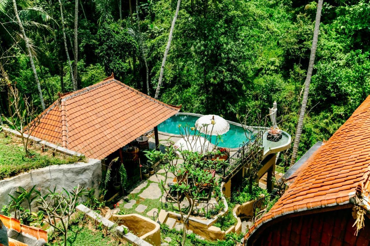 Pensão Jungle Lotus